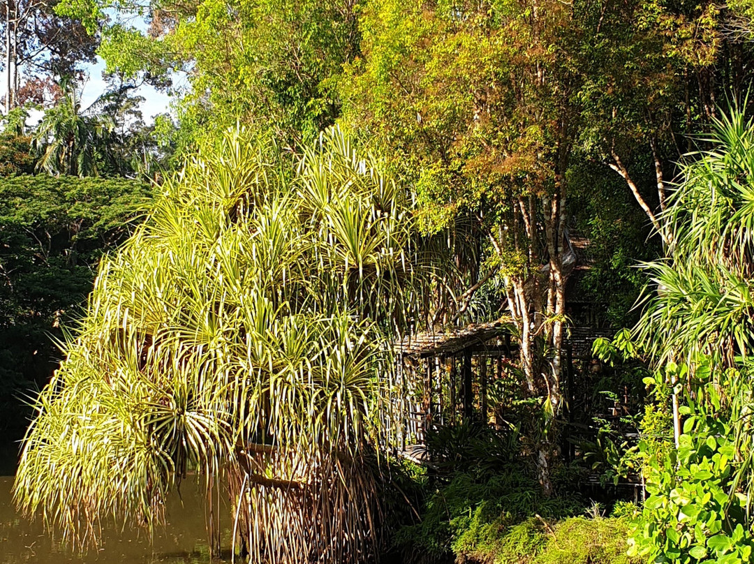 西必洛克自然度假村主图