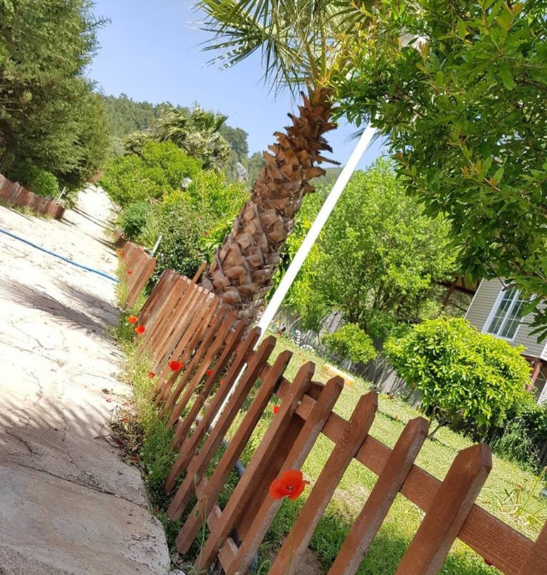 Selvim Bungalow主图