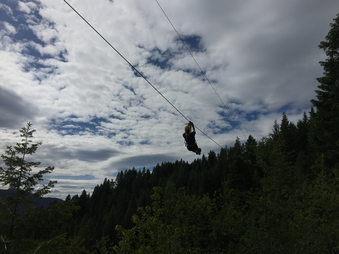 Silver Streak Zipline Tours景点图片