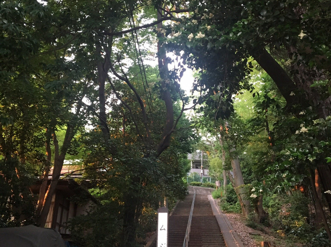 Hake no Michi-小金井市必去景点
