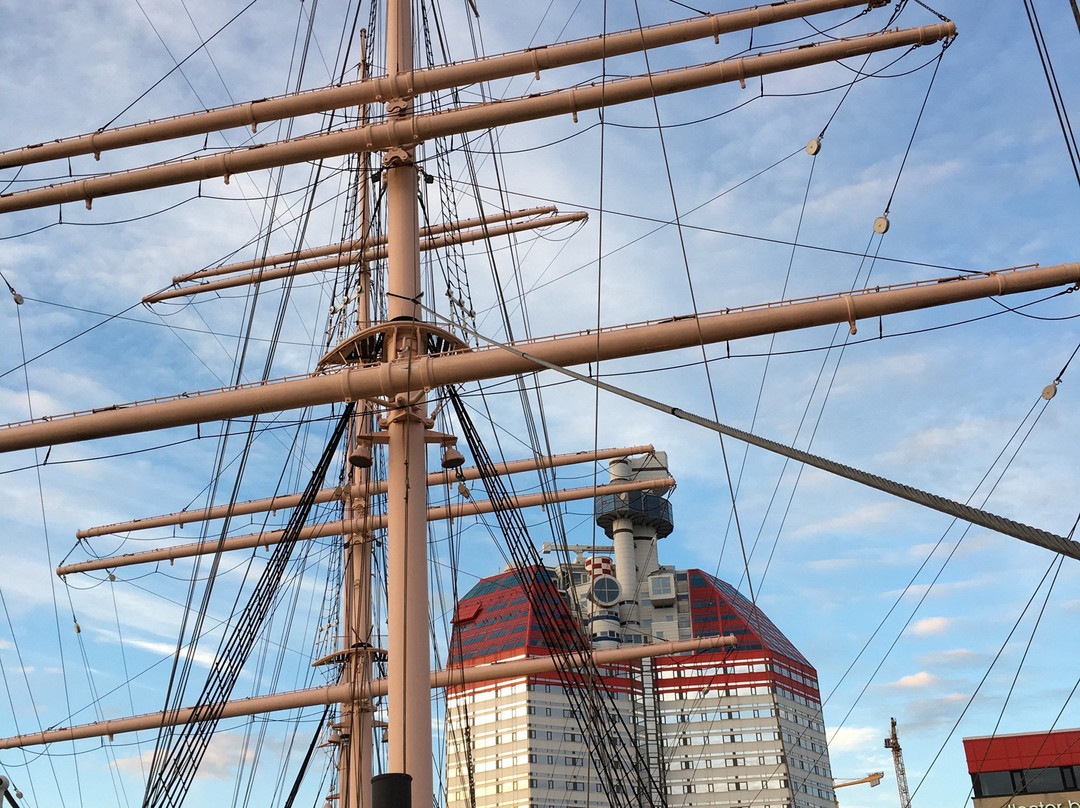 巴肯维京酒店主图