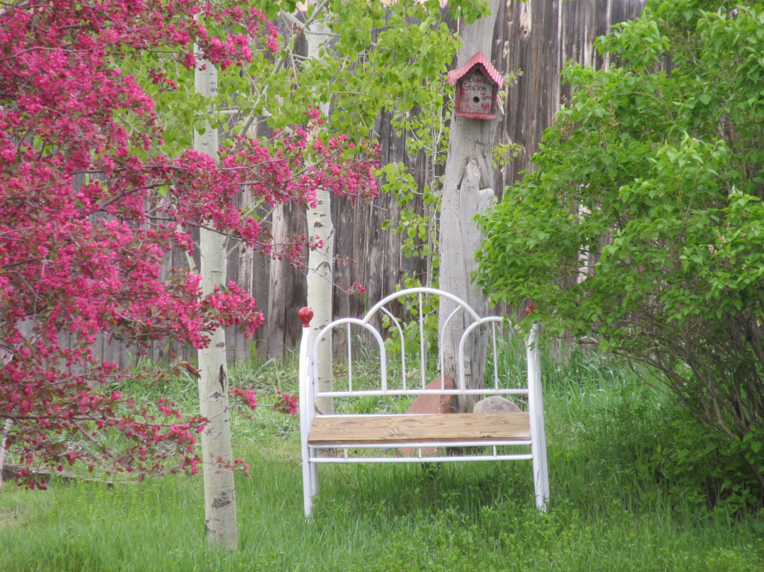 Chama Station Inn主图