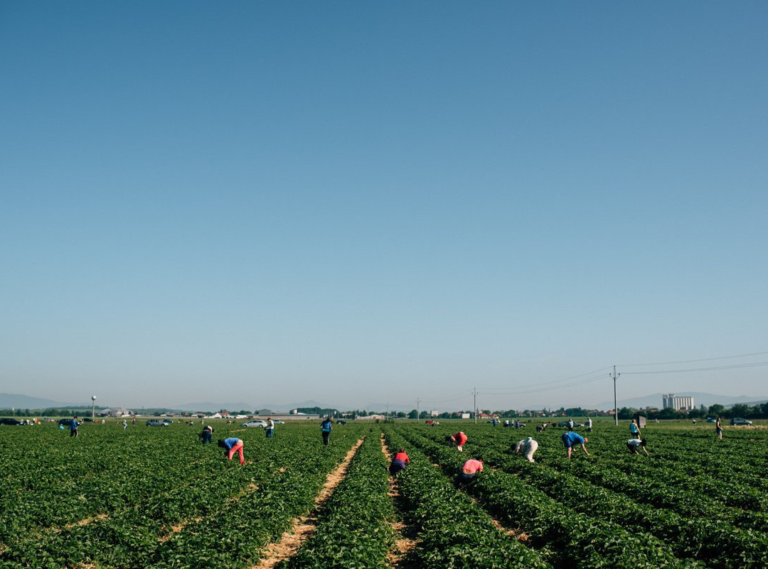 Bioplant-Ostratice必去景点