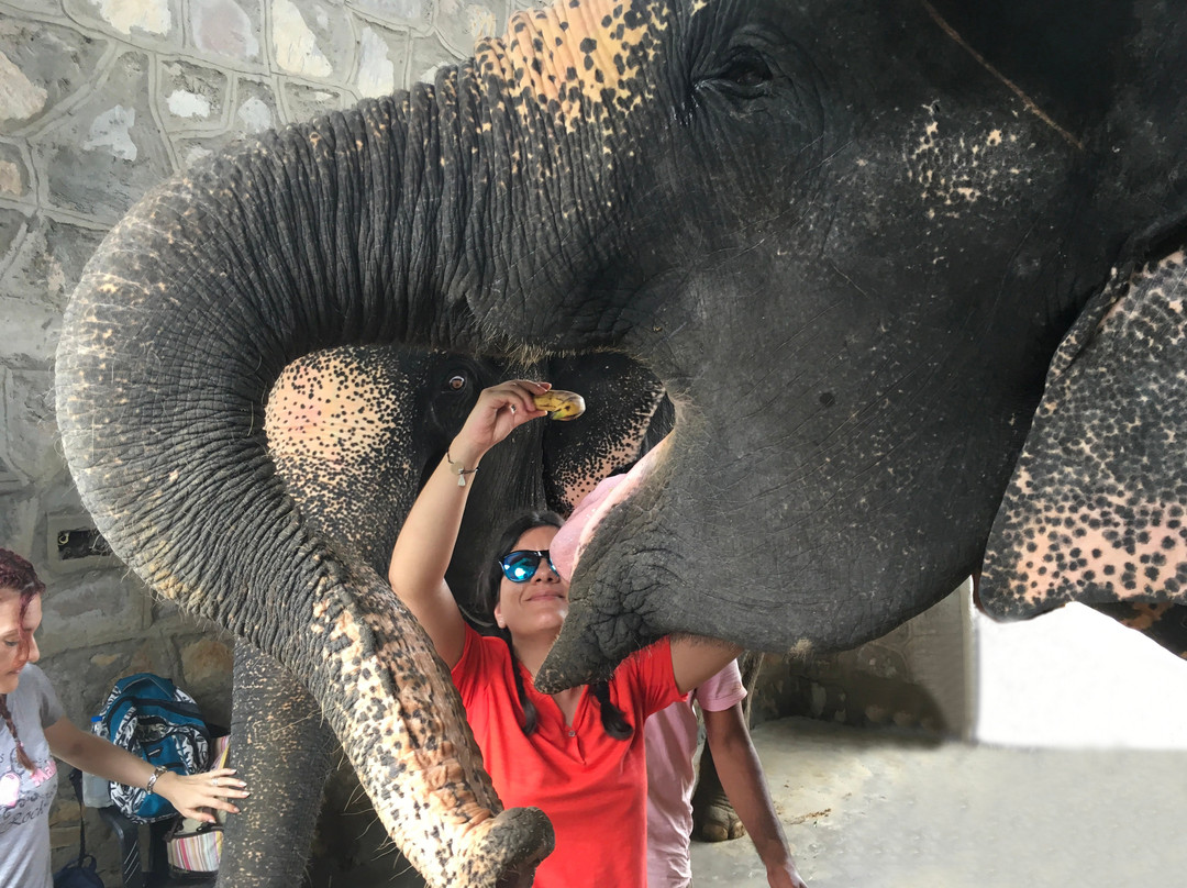 Elefriend-Amer必去景点