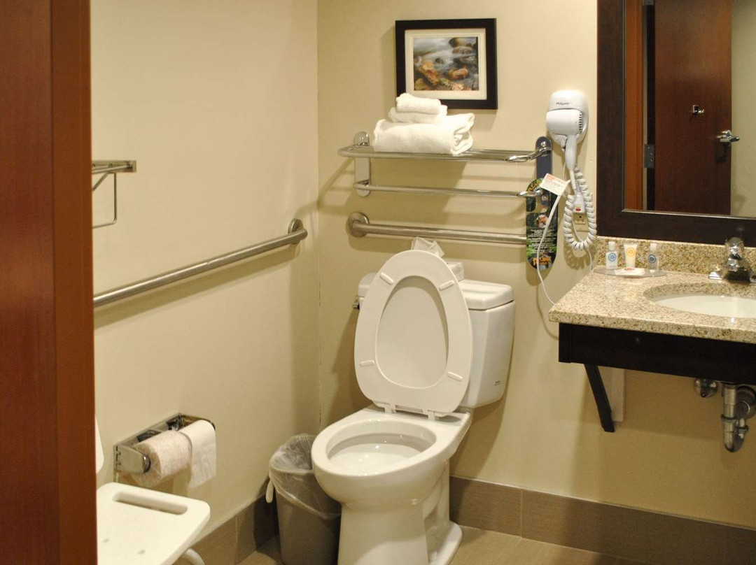 Comfort Inn & Suites主图