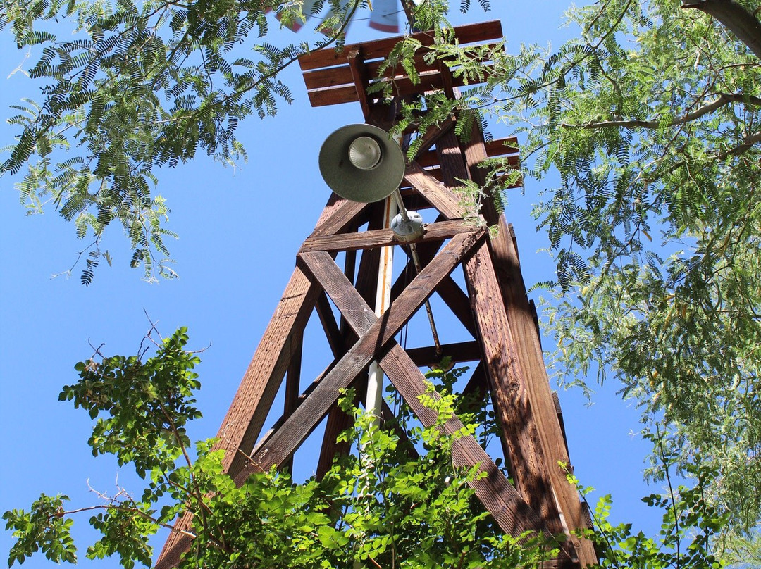 The Windmill Winery景点图片