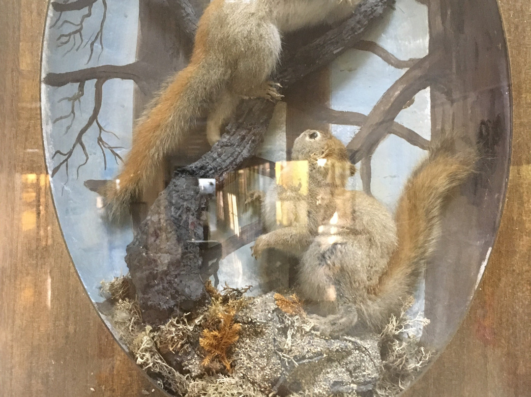 Mousio Zoologias Panepistimiou Athinon-雅典必去景点