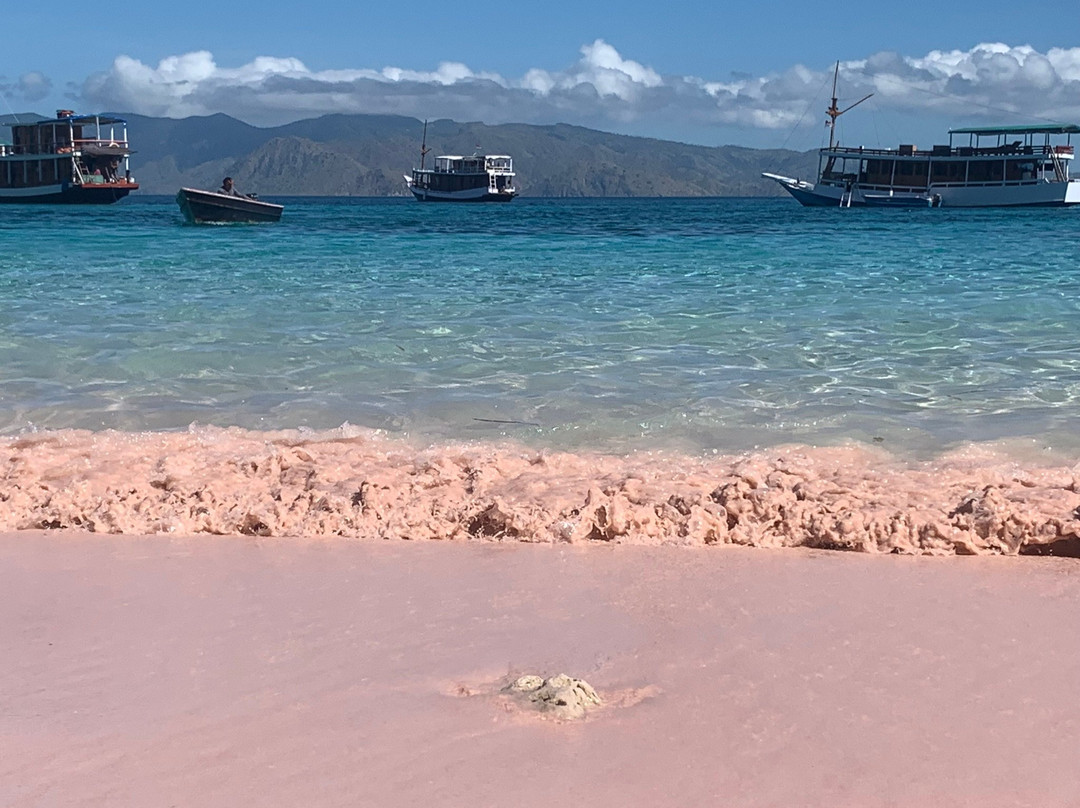 Komodo Bright Tour-登巴萨必去景点