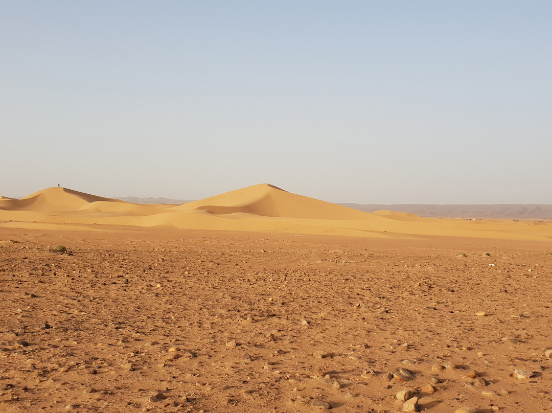 Sahara Trend-迈哈米德必去景点