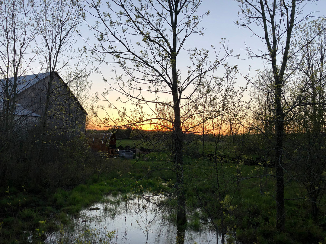 The Wilfrid Boutique Farmhouse主图