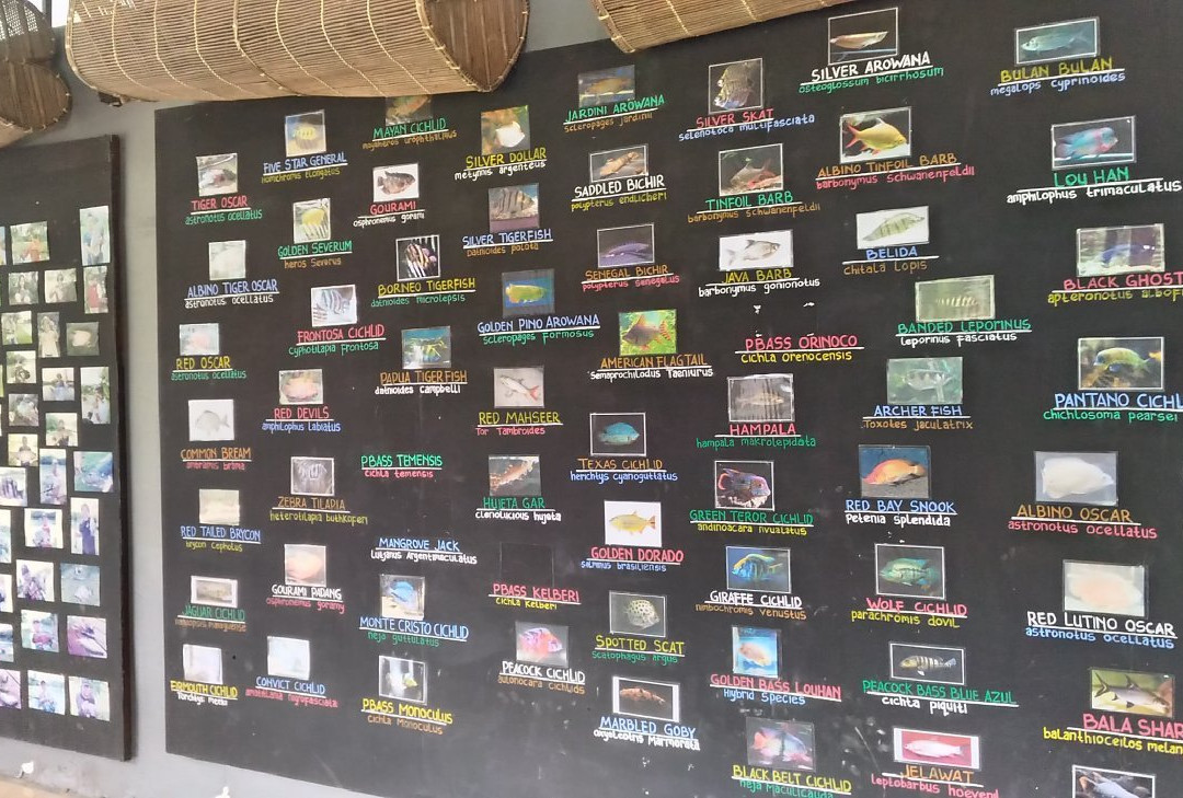 Monstero Fishing Park-西多尔佐必去景点