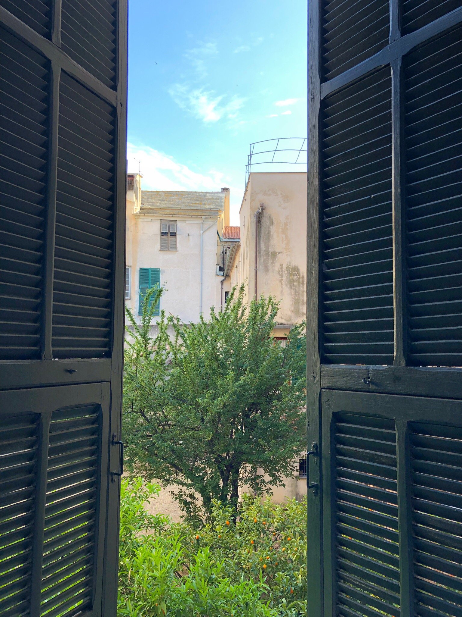 Torre Cepollini-官方