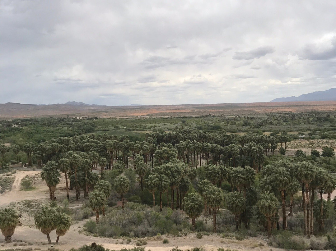 Moapa Valley National Wildlife Refuge-Moapa必去景点