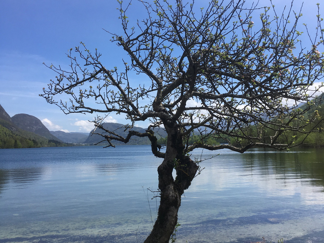 Bled Taxi Transfer-布莱德必去景点