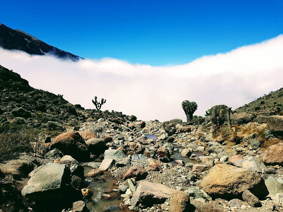 乞力马扎罗山景观旅馆主图