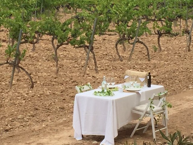 Bodegues Sumarroca-Subirats必去景点