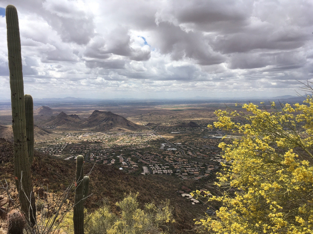 Sunrise Trailhead-斯科茨代尔必去景点