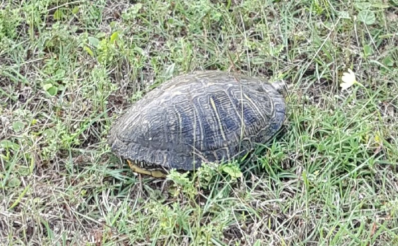 Wellspring Retreat Bed & Breakfast Round Top主图