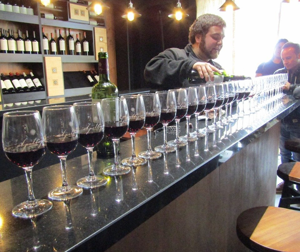 Vina Apaltagua-圣克鲁斯必去景点