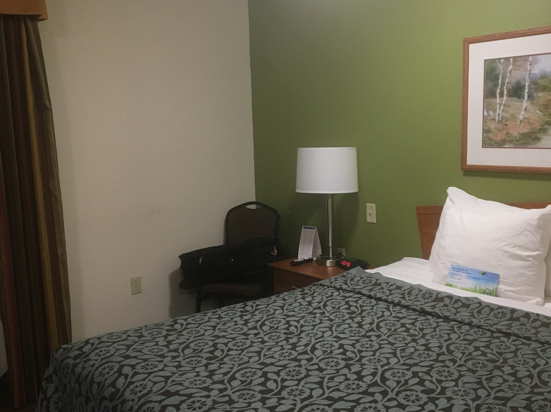 Days Inn & Suites by Wyndham Rochester Mayo Clinic South主图