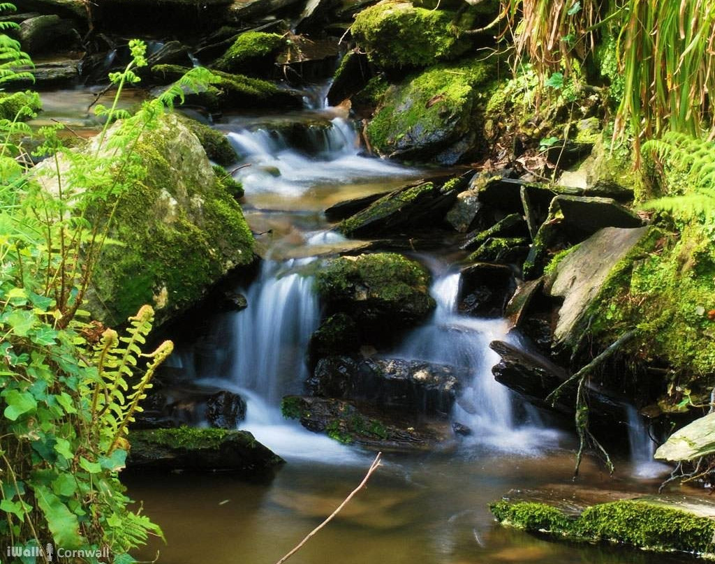 Trebarwith Valley Circular Walk