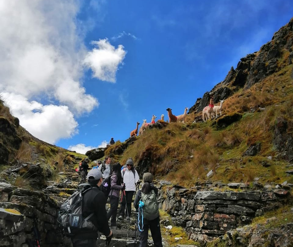 Cochapata Lodge主图