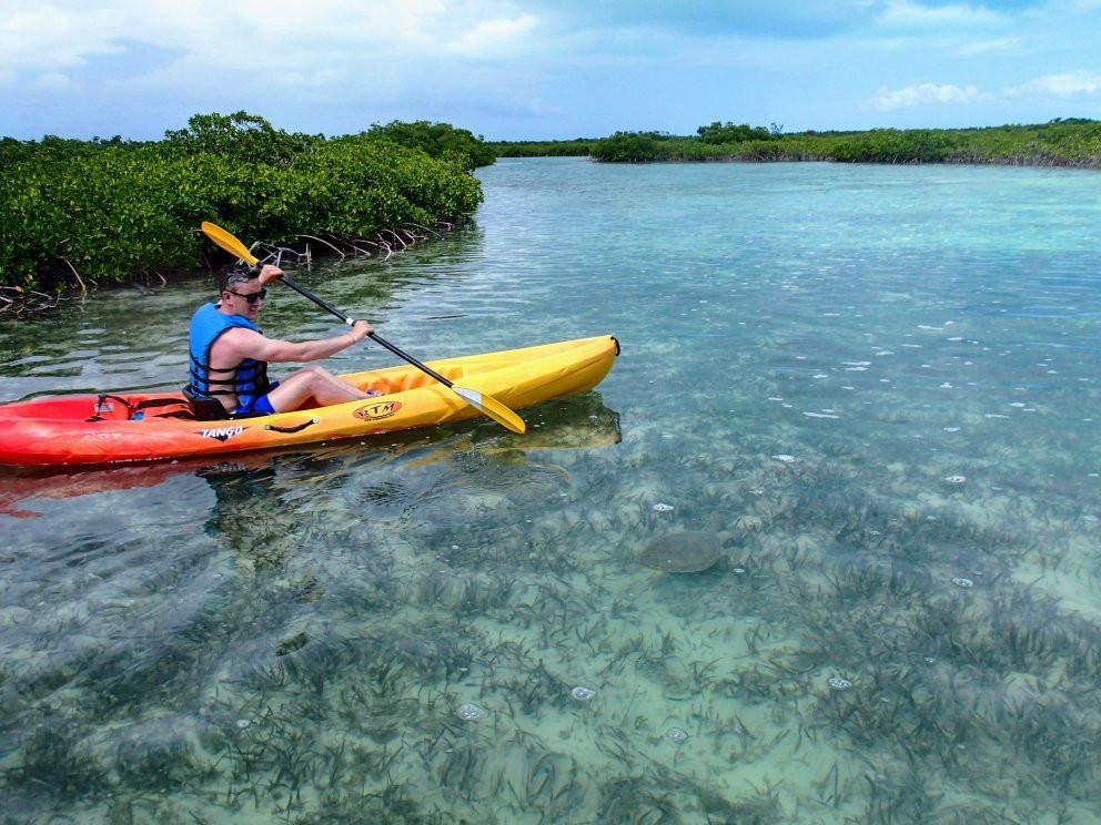Adventure Sports TCI-普罗维登西亚莱斯必去景点