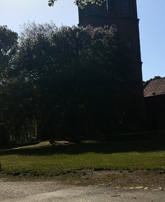 Kloster Dobbertin景点图片