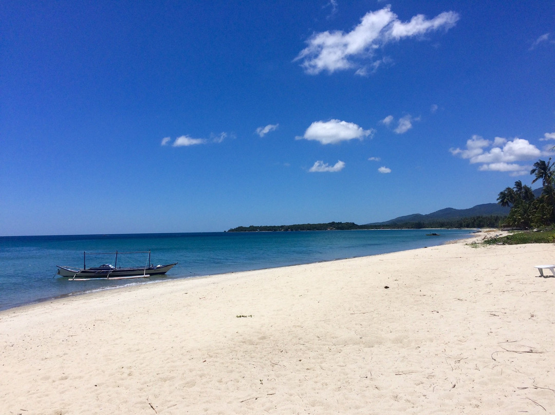 费顿海滩度假村主图