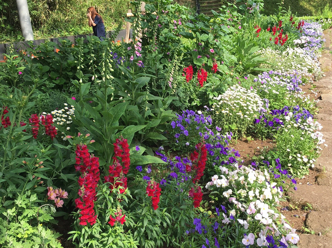 Karakida Trail-多摩市必去景点