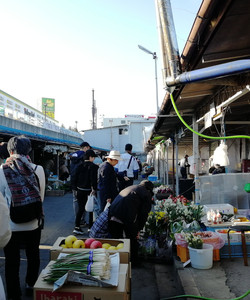 Mikoda Asaichi景点门票图片