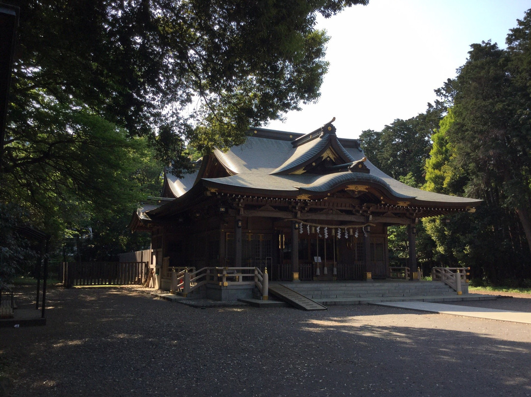 Yasaka Shrine景点图片