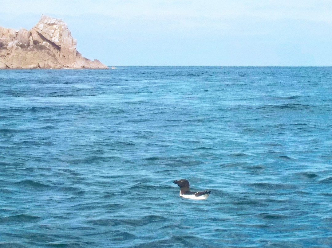 Outdoor Guernsey Shell Beach Kayak Tours-Herm必去景点