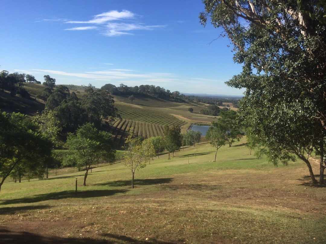 Cloud 9 Tours-悉尼必去景点