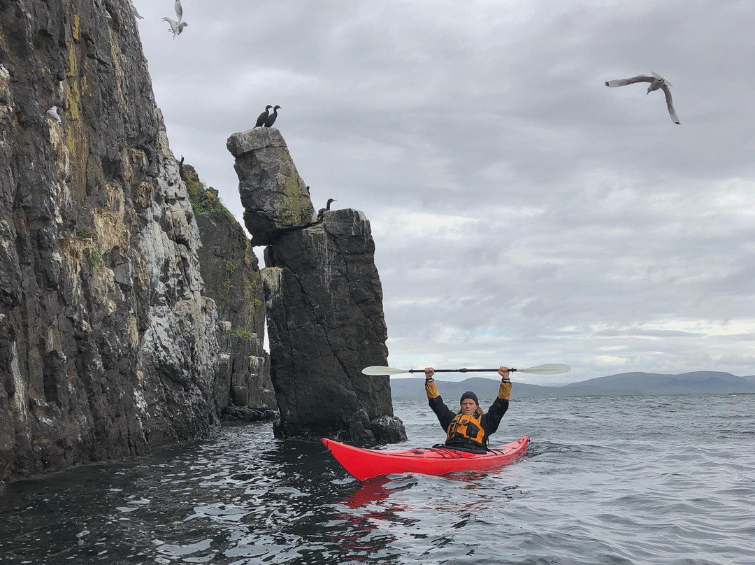 Kontiki Kayaktours-Stykkisholmur必去景点