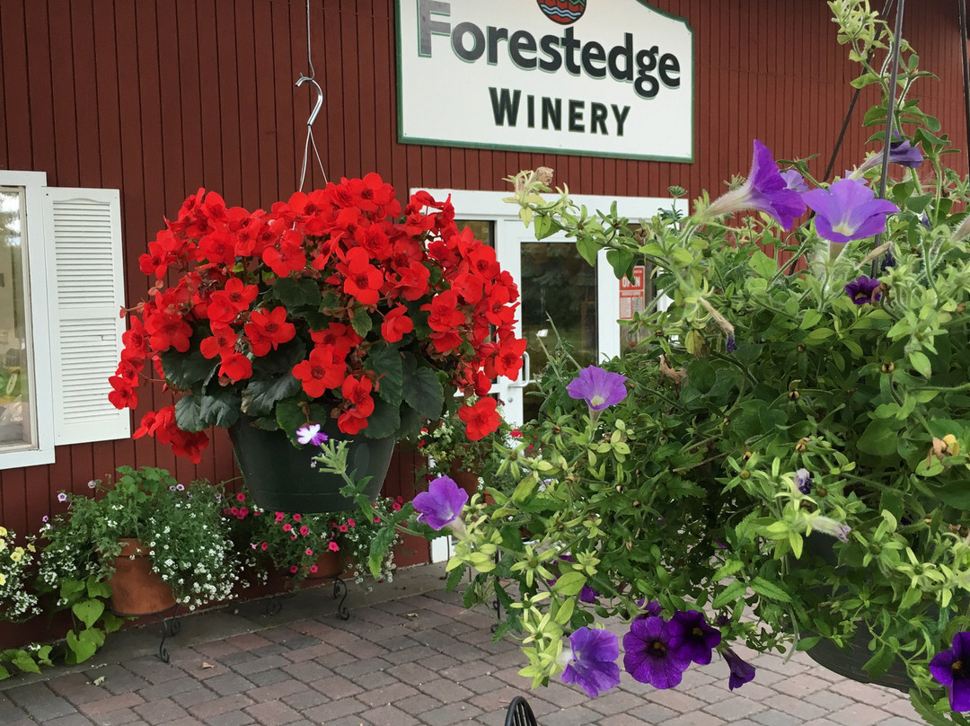 Forestedge Winery-LaPorte必去景点