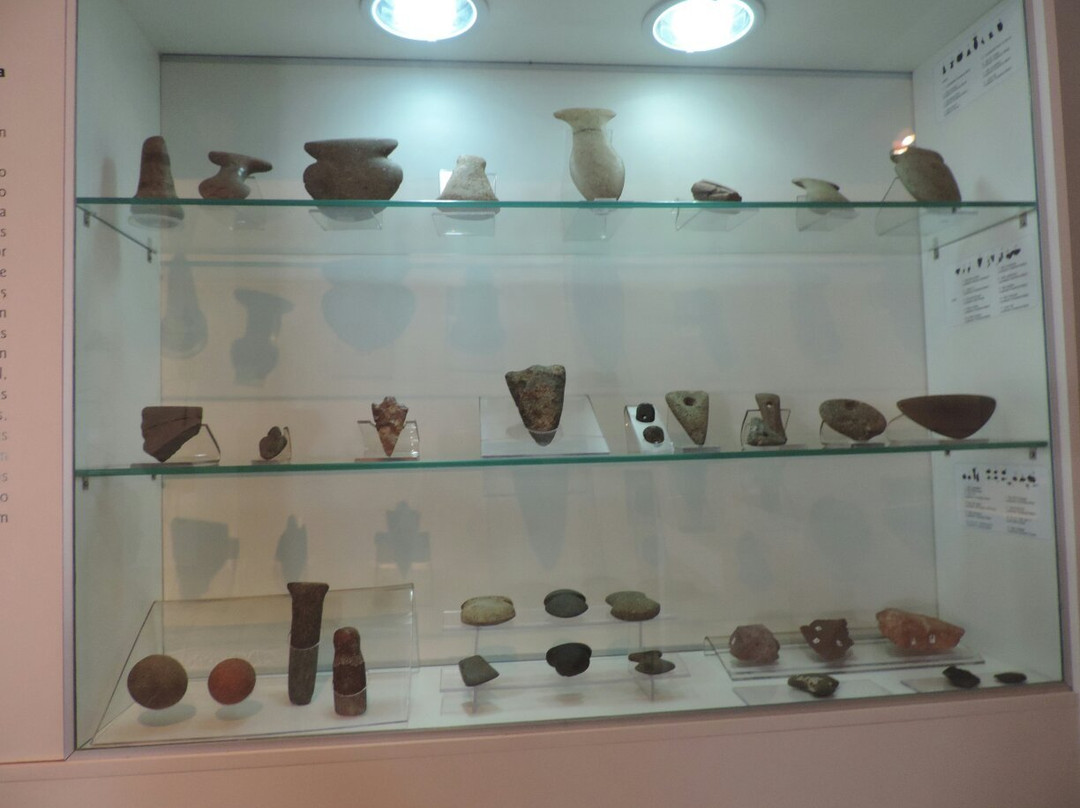 Regional Archaeological Museum of Rondonia-Presidente Medici必去景点