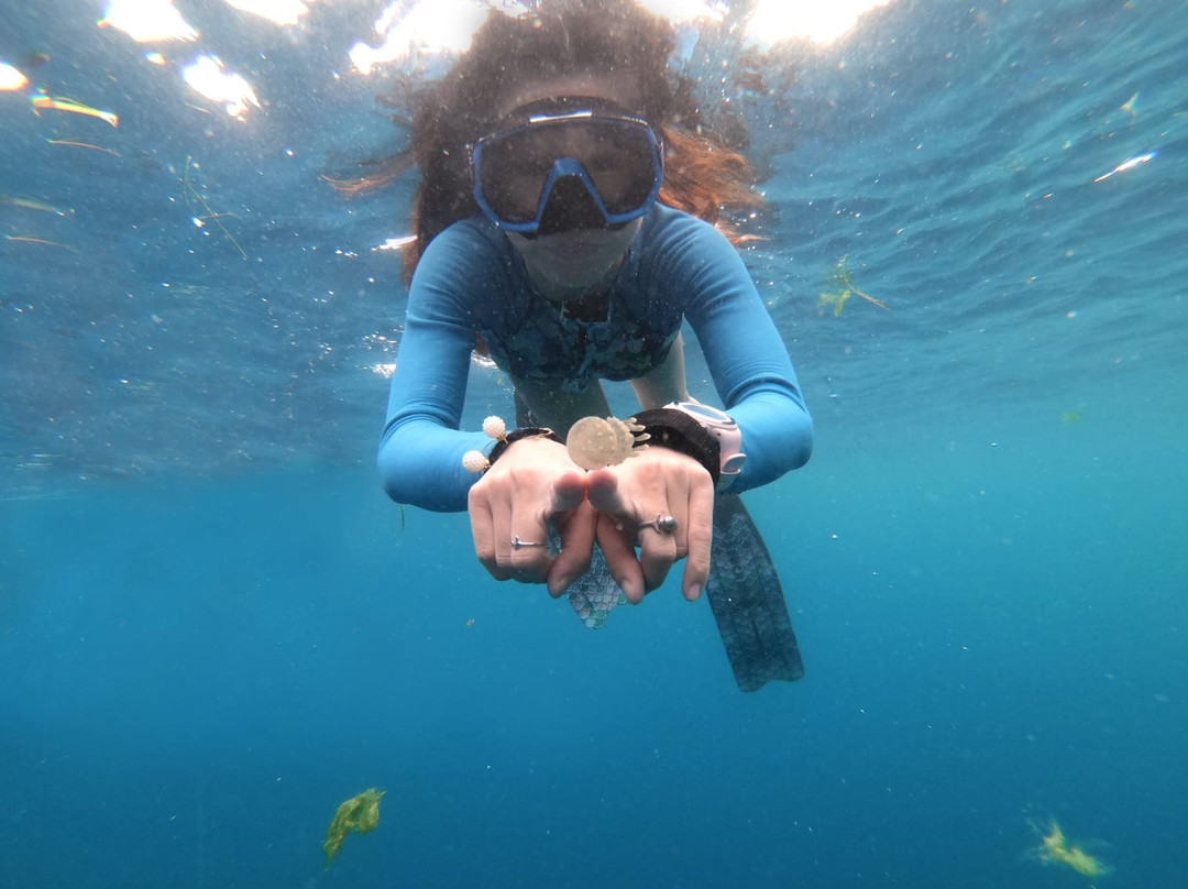 Singapore Freedivers-新加坡必去景点