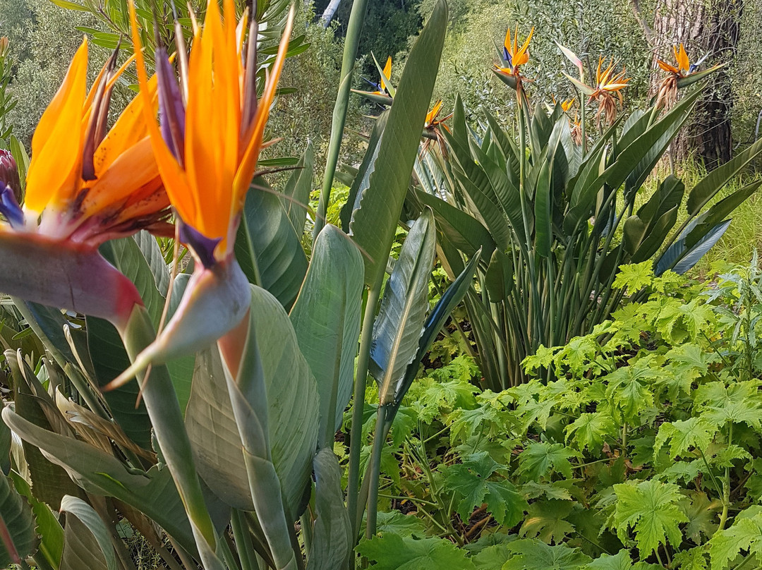 Angala Boutique Hotel主图