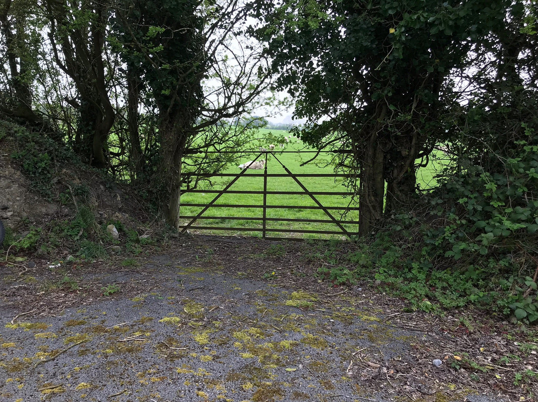 Old Rail Trail-Mullingar必去景点
