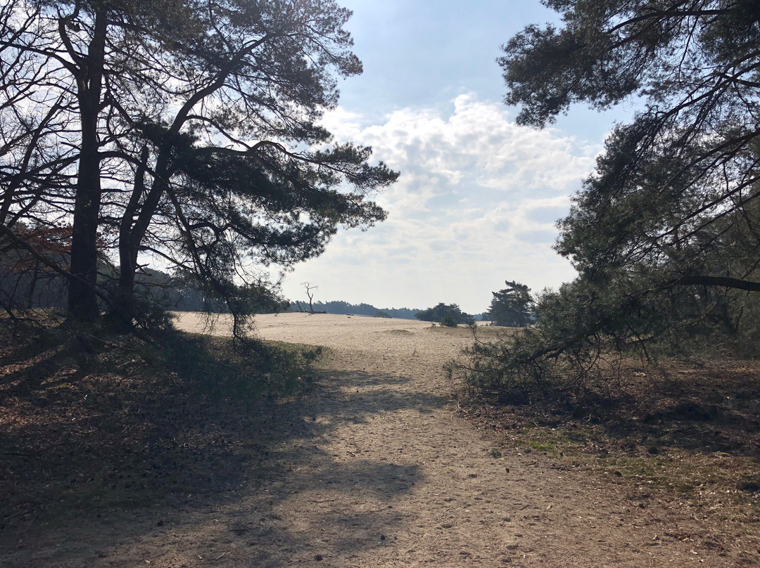 Oerrr op het Mosselse Zand-奥特洛必去景点