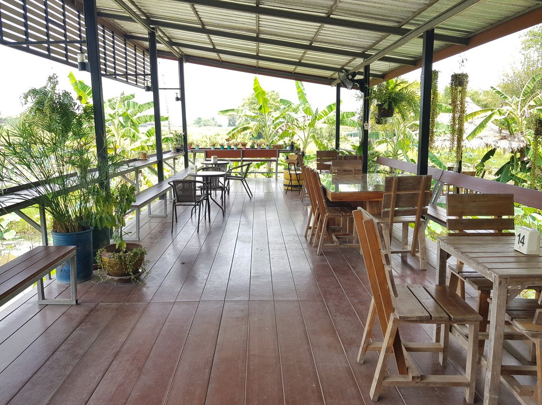 คาเฟ่ ใบบัว