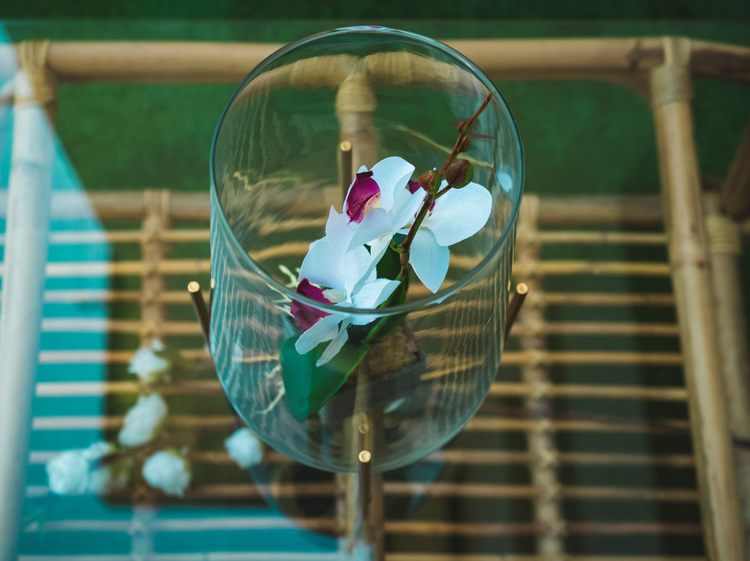 Mozelos旅游景点-The Ritual Spa