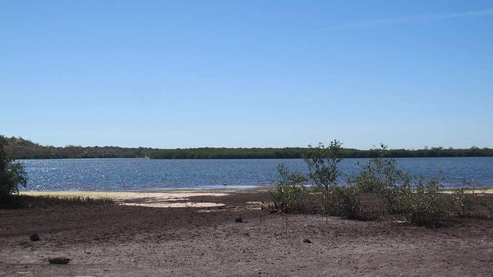 Estero el Soldado, Área Natural Protegida景点图片