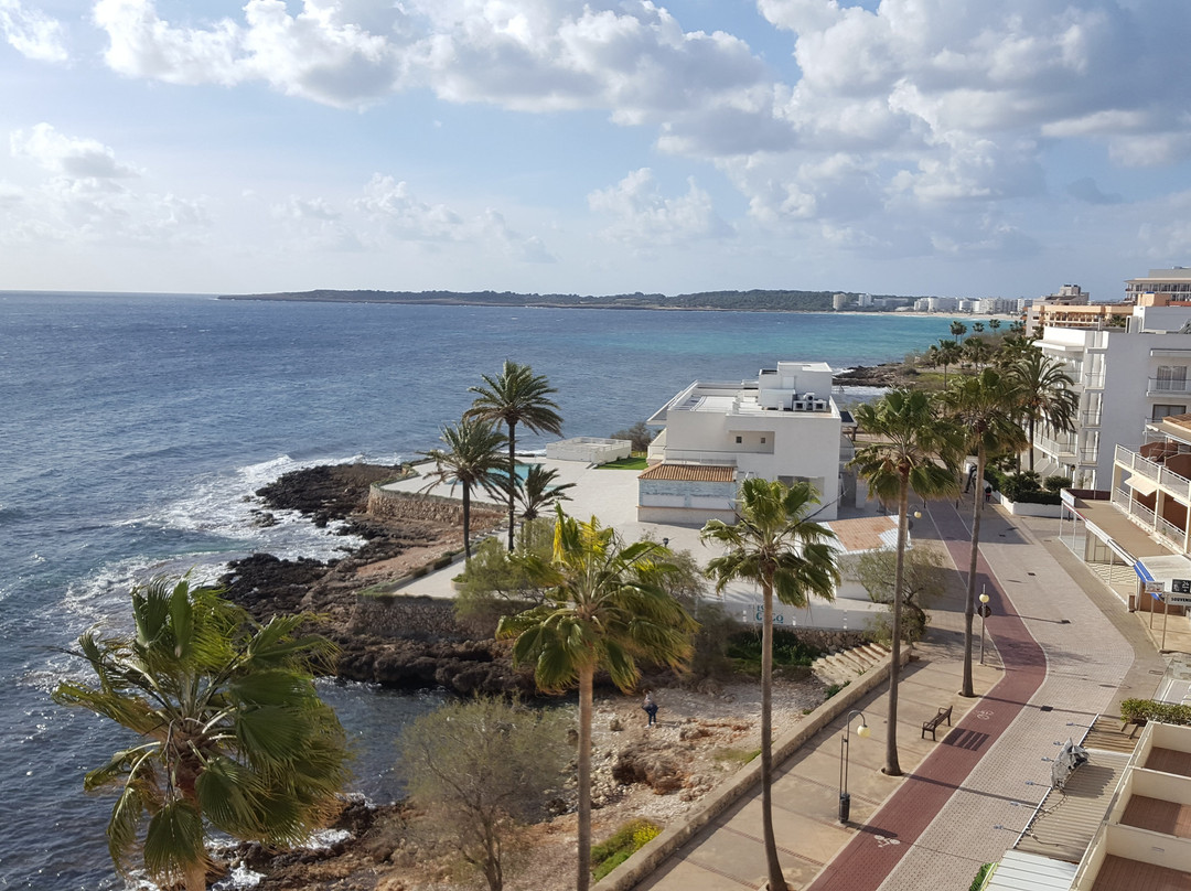 Protur Alicia Hotel主图