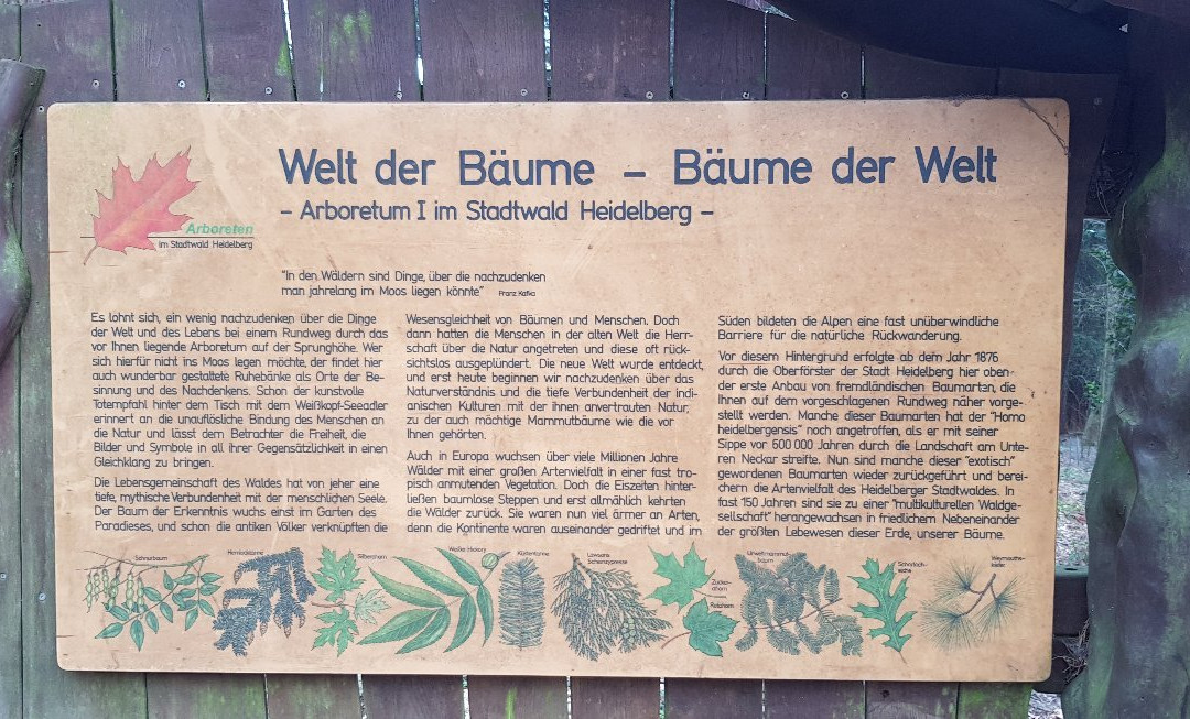 Sprunghohe-海德尔堡必去景点