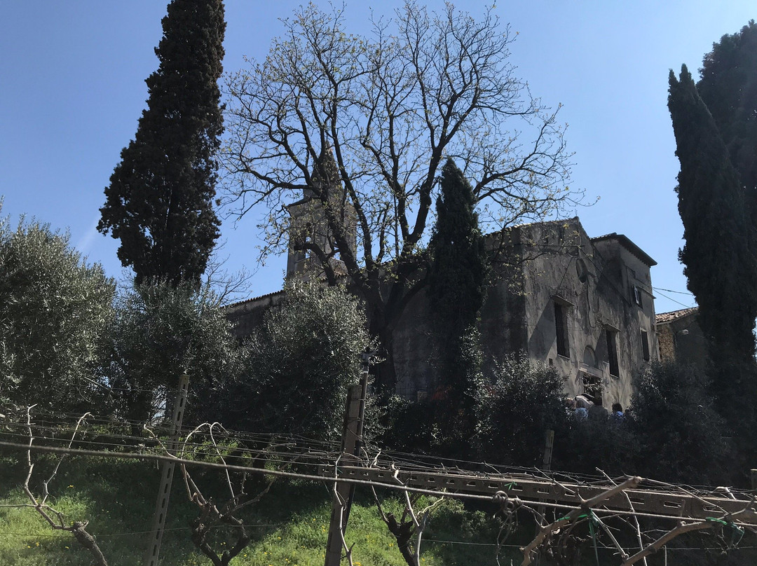 Santuario della Madonna del Monte景点图片