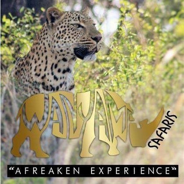 Wanyama Safaris-克鲁格国家公园必去景点