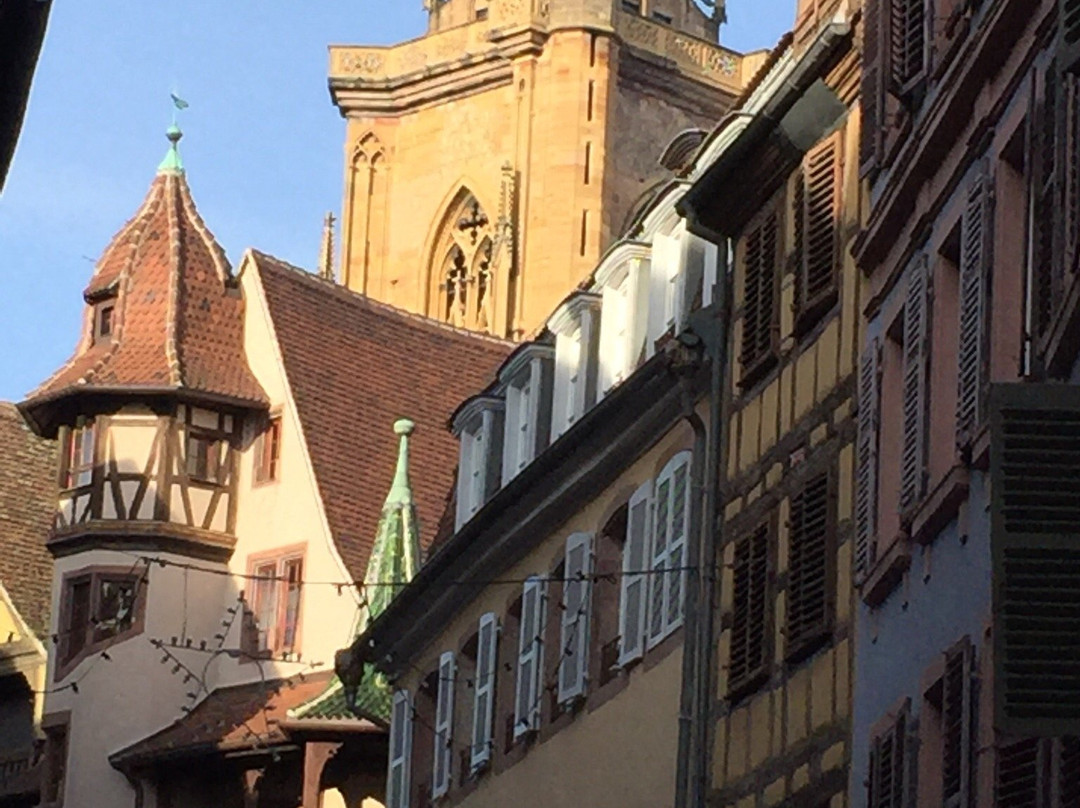 Domaine Viticole de la Ville de Colmar-科尔马必去景点