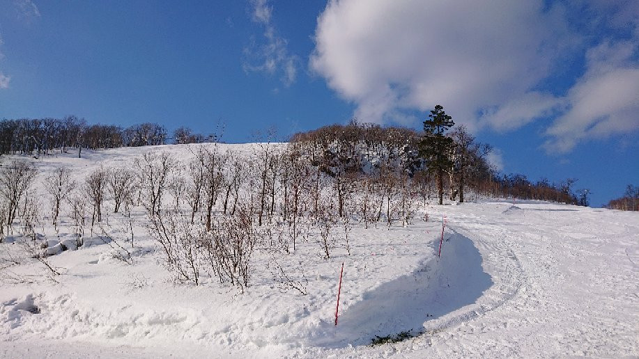 Nayoropiyashiri Ski Area景点图片